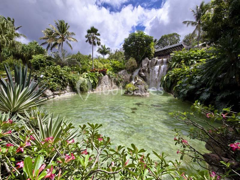 Location salle Deshaies (Guadeloupe) - Jardin Botanique De Deshaies #1