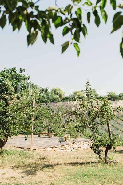 Huile essentielle de lavandin biologique de Provence - Terre Ugo